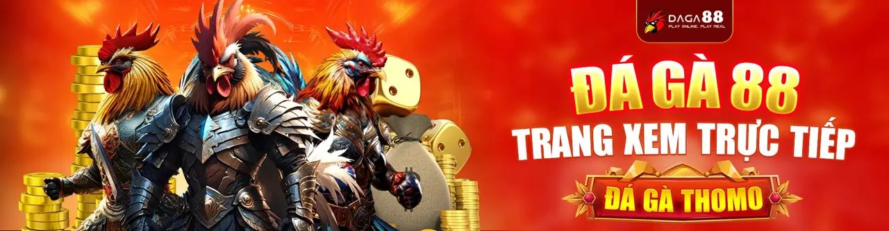 Đá Gà Thomo Trực Tiếp Mới Nhất 2026