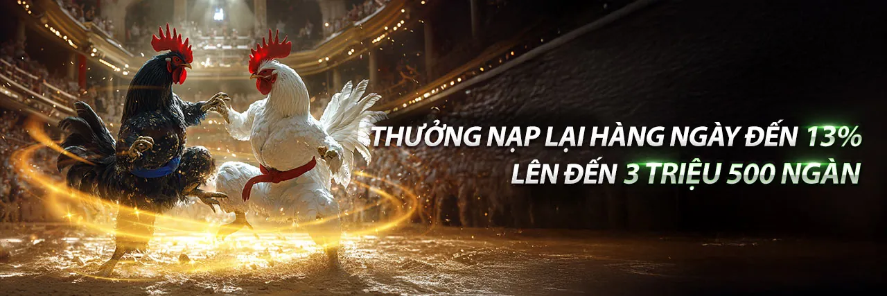 Đá gà Thomo mới nhất 2026
